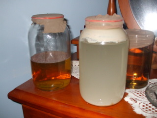 Sugar. water and yeast fermenting and somewhat cloudy